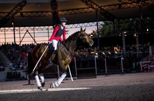 Lisa Röckener and her bay horse Valoo in the centre of the Dressage Stadium during their performance at "Horse & Symphony". Lisa is riding with just a riding pad and without a bridle, while she holds two long white poles in her hands with a string of lights hanging between their ends, which she uses like a skipping rope while Valoo gallops over them.
