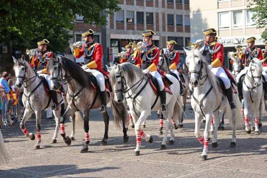 Eine Gruppe von Reitern in festlicher Uniform reitet auf weißen und grauen Pferden durch eine gepflasterte Innenstadt. Die Reiter tragen rote Jacken mit goldenen Verzierungen und spielen Trompeten. Zuschauer stehen am Straßenrand und beobachten das Geschehen.