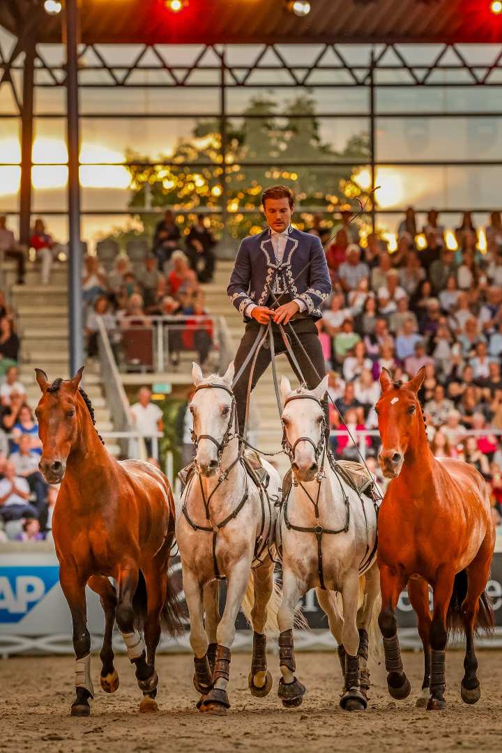 Ein Artist steht in einer Arena auf den Rücken von zwei weißen Pferden, während zwei weitere braune Pferde frei daneben laufen. Die Szene spielt bei Sonnenuntergang, im Hintergrund sind Tribünen mit vielen Zuschauern zu sehen.