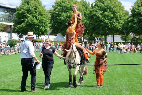 Two women in orange dresses vaulting on a Fjord horse being led across the jumping arena at the Soerser Sonntag. The audience in the background is thrilled.