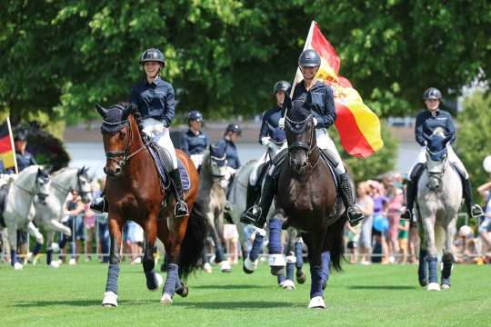 Two dark-coloured horses trot alongside each other at the Soerser Sonntag. One rider is carrying a Spanish flag. Behind them trot many more grey horses.