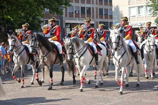 Eine Gruppe von Reitern in festlicher Uniform reitet auf weißen und grauen Pferden durch eine gepflasterte Innenstadt. Die Reiter tragen rote Jacken mit goldenen Verzierungen und spielen Trompeten. Zuschauer stehen am Straßenrand und beobachten das Geschehen.