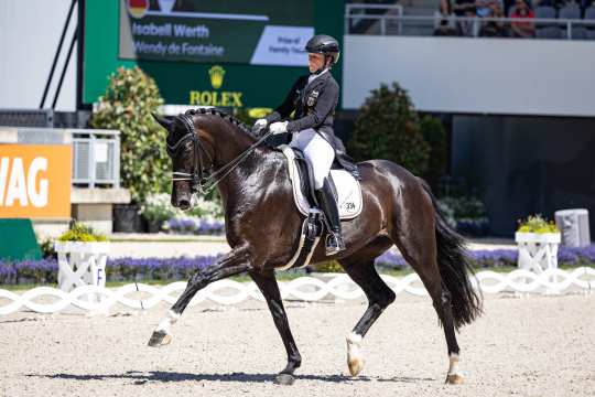 A dressage rider rides a dark brown horse in a dressage competition. A large display board with the name “Isabell Werth” and spectators in the stands can be seen in the background. The rider is wearing a black jacket, white breeches and a helmet. The scene takes place in a stadium with floral decorations and a dressage arena.