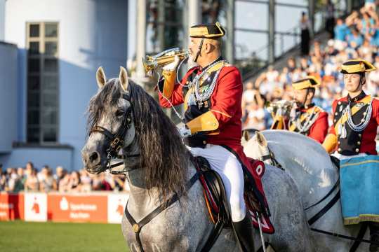 A rider in a splendid uniform with a red jacket and golden sash sits on a grey horse and blows a fanfare. Other riders in similar uniforms and spectators in the stands can be seen in the background.