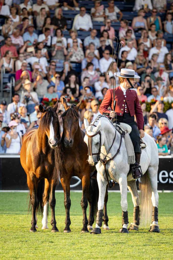 Three horses present a show of liberty dressage at the opening ceremony. One horse is a grey, the two next to it are bay.