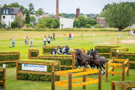 A four-in-hand with a carriage drives through an obstacle made of wood and hedges on the marathon course. In the background, spectators stand and walk on a meadow, with buildings and trees visible behind them.