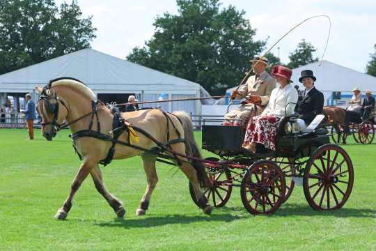 A carriage horse with a light coat and dark mane pulls an elegant carriage across a green meadow. Three people dressed in festive attire sit in the carriage, one of them holding the reins and a long driving whip. In the background, spectators, white marquees and other horse-drawn carriages can be seen.