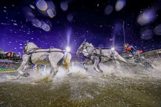 Four grey horses dynamically pull a carriage through a water obstacle at night, while water splashes in all directions. Floodlights, stands with spectators and waving flags can be seen in the background. The scene is dramatically characterised by spotlights and raindrops in the light.