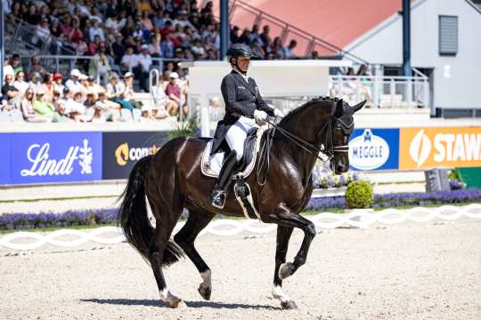 A dressage rider in black competition dress and helmet rides a black horse in the centre of a dressage arena. In the background, numerous spectators sit in the stands and colourful sponsor banners are visible. The horse is elegantly poised and wears a saddle pad with the German coat of arms.