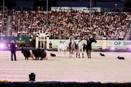 Abendshow im Reitstadion: Zwei Reiter in Kostümen führen mehrere Pferde über den Sand, im Vordergrund stehen mehrere Ziegen und einige Hütehunde liegen auf dem Boden; die Tribüne ist voll besetzt und farbiges Licht beleuchtet die Szene.